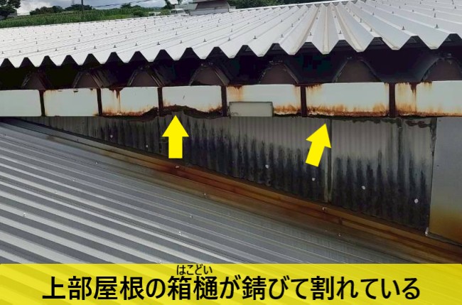 菊池郡菊陽町の工場で雨漏り調査｜増築の繋ぎ目と錆びた箱樋など複合的な原因