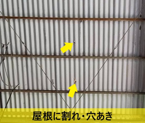 工場の屋根に割れや穴あきができている