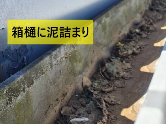 工場下段屋根の箱樋に泥が詰まっている