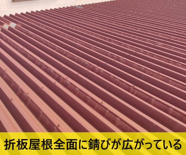 熊本市南区で工場改修のご相談|折板屋根の錆びと外壁サイディングの劣化を調査