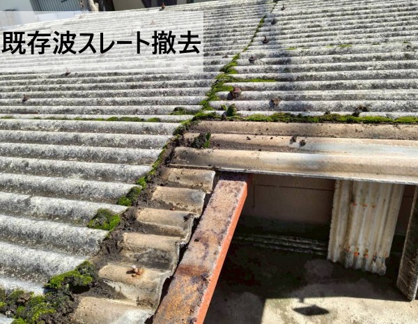 既存の波スレートを撤去しました