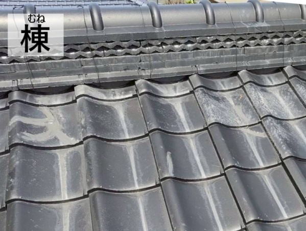 棟周辺の瓦をめくって点検