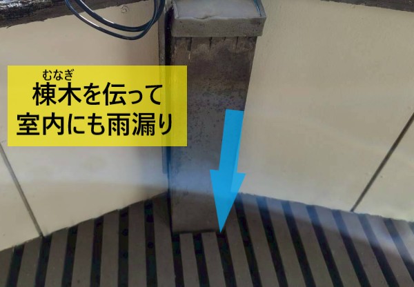 棟木を伝って室内にも雨漏りが起きている