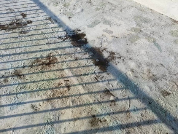 水分が染み込んでいる屋上防水