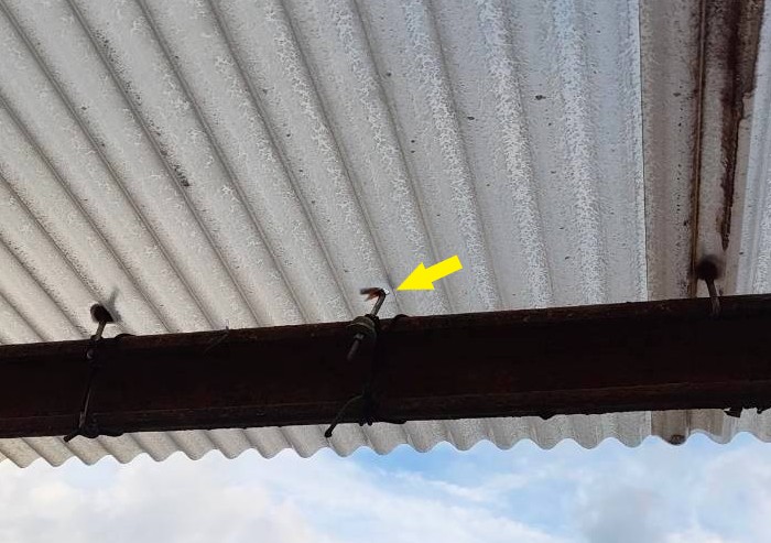 波板のフックが外れて屋根が浮いている