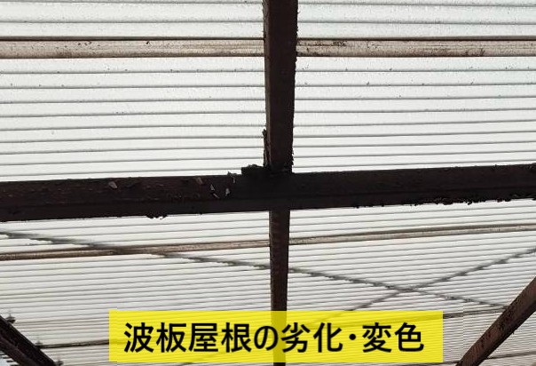 菊池郡菊陽町 ルーフバルコニーのバタバタ鳴る波板屋根を調査