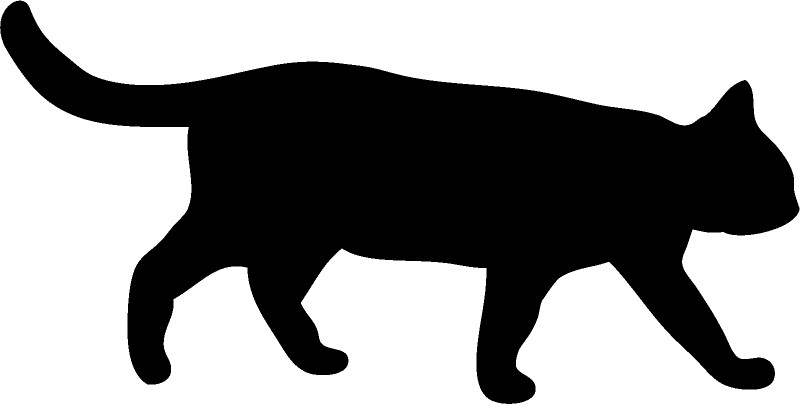 【熊本市東区】野良猫の屋根侵入対策｜物置からの飛び移りを防ぐ効果的な方法