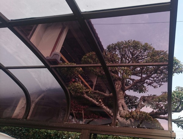 熊本市中央区で飛来物で割れたカーポート平板屋根の部分張り替え工事｜ポリカーボネートは耐久性が高く紫外線カット機能もあります