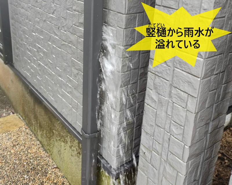 阿蘇市にて竪樋が破損して雨水が溢れている！雨樋各所の不具合と鳥の巣被害を受けていました