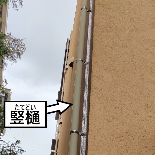 竪樋とは