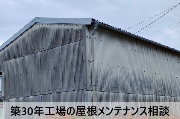 築30年工場の屋根メンテナンスについて相談いただきました
