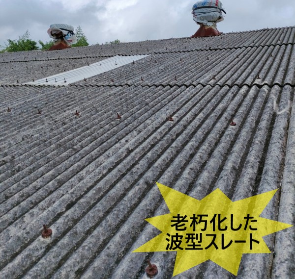 阿蘇市でアスベスト含有の倉庫屋根スレートの現地調査｜ガルバリウム鋼板でカバー工事をご提案