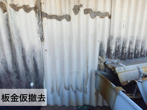 菊陽町 工場の雨漏り修理で壁の被せ板金を仮撤去