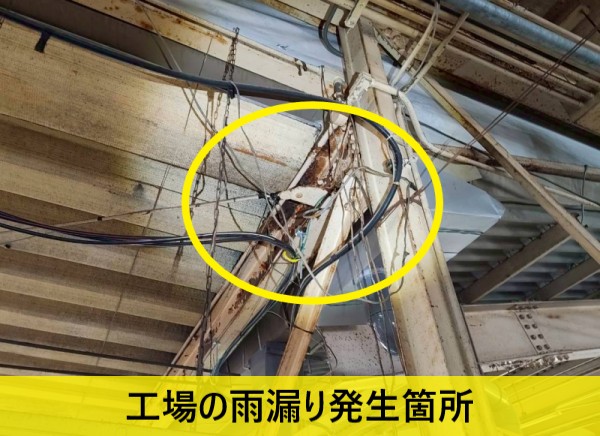 菊陽町の工場で雨漏りが発生している箇所