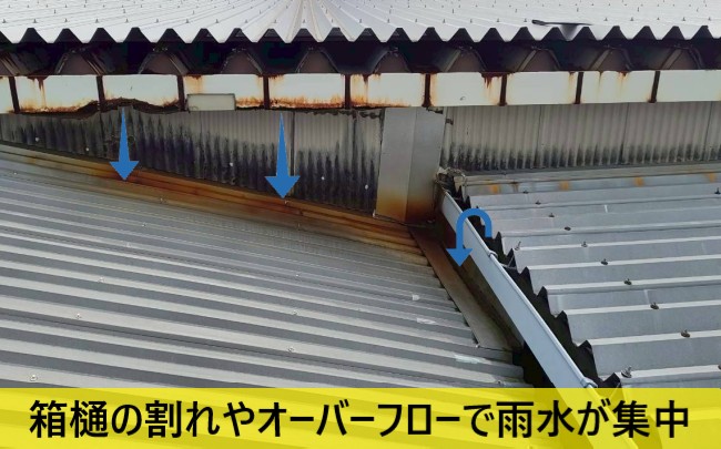菊陽町の工場雨漏りの原因