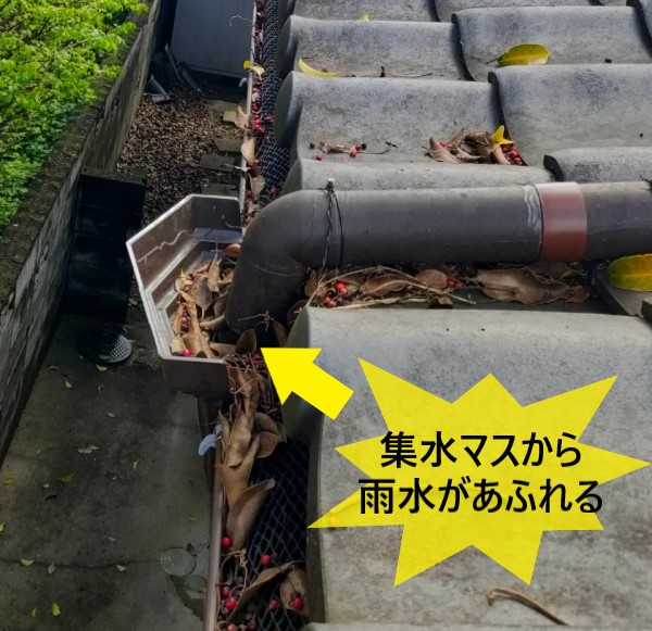 熊本市で集水マスに落ち葉が溜まり雨水があふれていた雨樋の清掃｜雨樋清掃の必要性って？