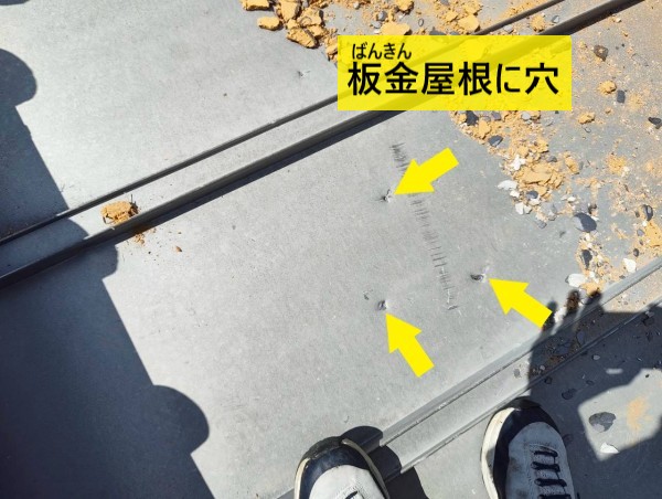 落下した瓦により板金屋根に穴が開いている