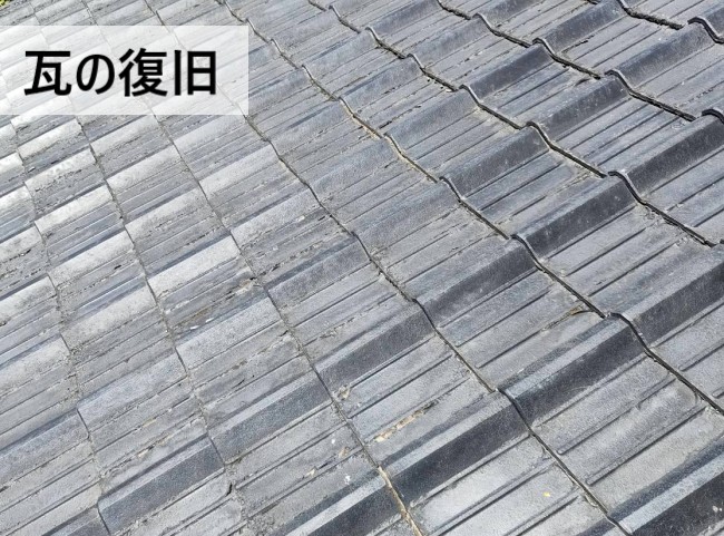 葺き直し工事で瓦の復旧