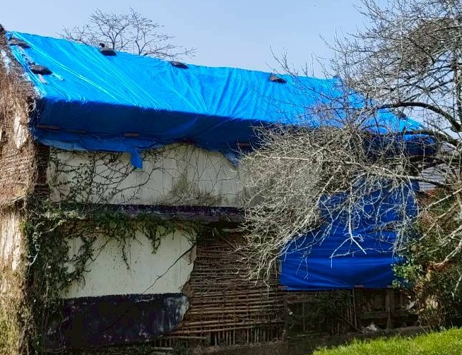 蔵のブルーシート養生が完了