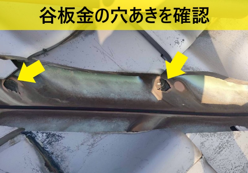 【熊本市北区】築45年瓦屋根で雨漏り発生！谷板金の穴あきとルーフィング破れが原因
