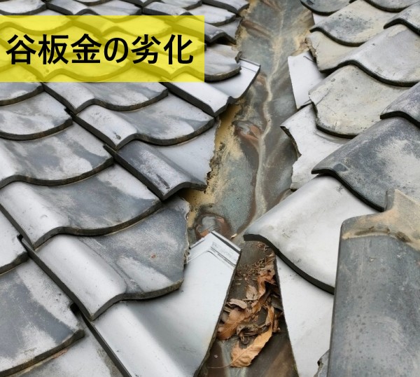 【熊本市北区】築50年瓦屋根で天井の雨漏りを調査｜劣化した谷板金が原因