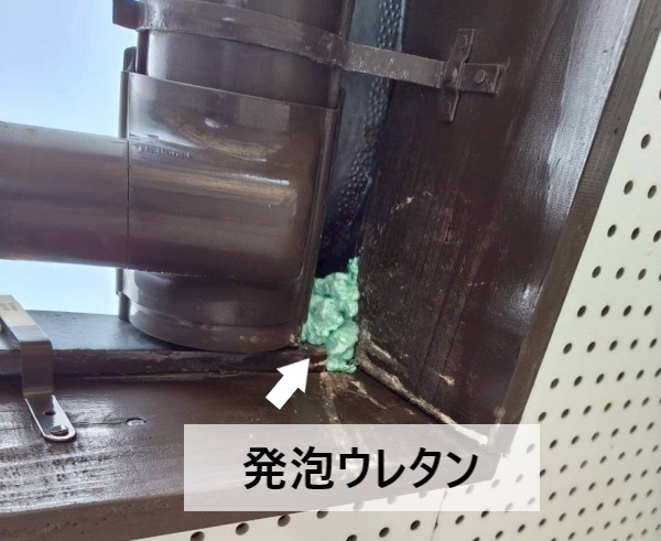 合志市で軒樋の隙間へのスズメの巣対策｜発泡ウレタンで鳥害を根本解決