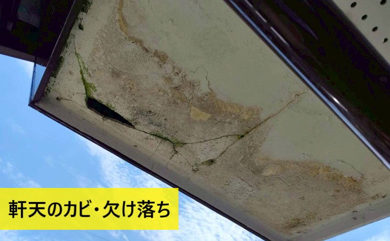 【菊池市】割れて落下した軒天ケイカル板の現地調査｜破風板からの漏水も疑われた事例