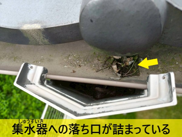 菊池市の軒樋から水があふれるオーバーフローを調査｜集水器に落ち葉が詰まっていました