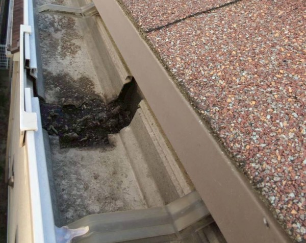 軒樋が詰まっている