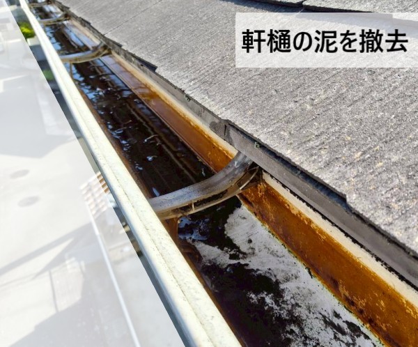 軒樋の泥を撤去している