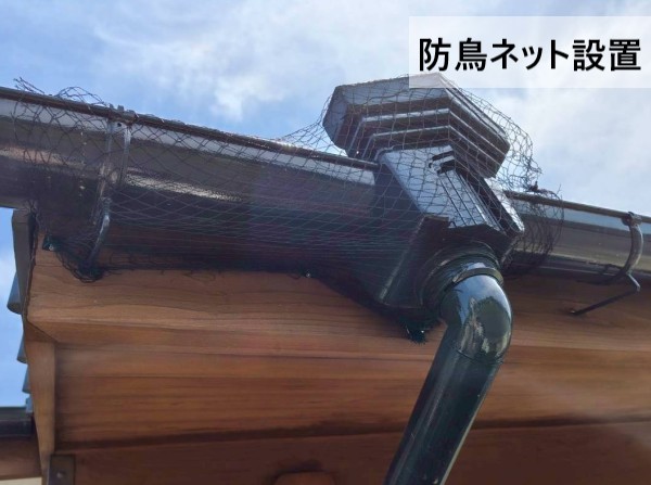 【熊本市北区】スズメの巣対策工事｜巣の撤去・清掃と防鳥ネット取り付けで再発予防