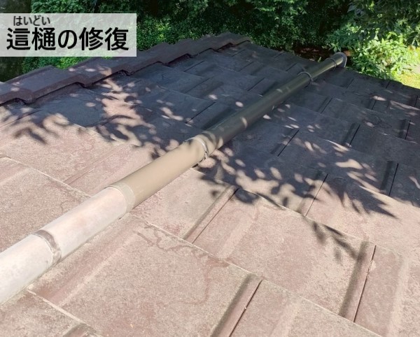 這樋を修復しました