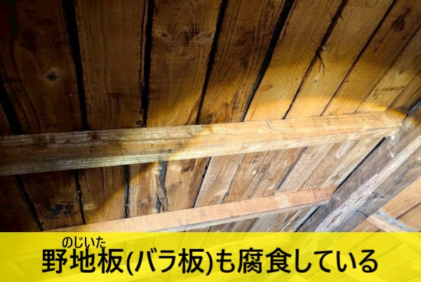 野地板のバラ板も雨漏りで腐食している