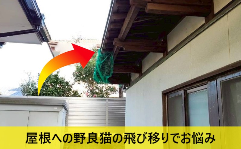 野良猫が自宅の屋根へ飛び移るお悩み