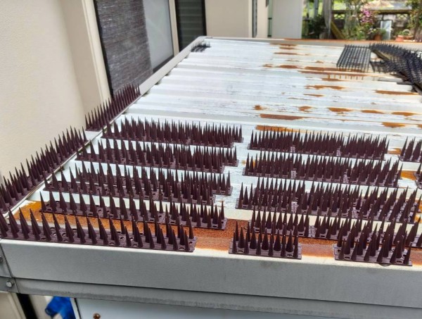 野良猫対策のために隣家の物置に剣山を設置