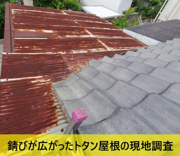 錆びが広がったトタン屋根の現地調査