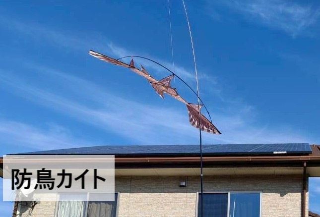 防鳥カイトを設置している