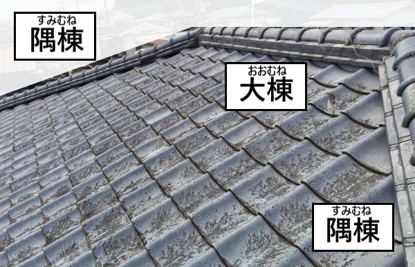 隅棟と大棟　瓦屋根