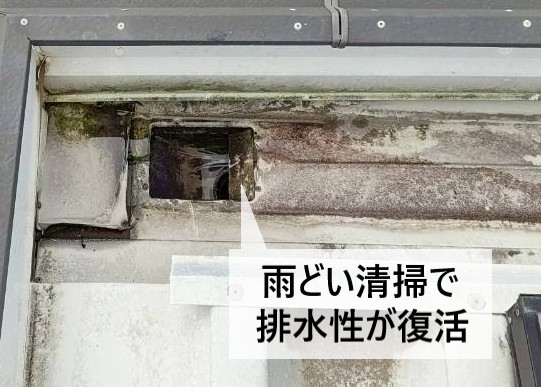 雨どい清掃で排水性が復活しました