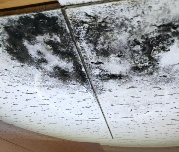 雨漏りで天井に黒カビが生えている