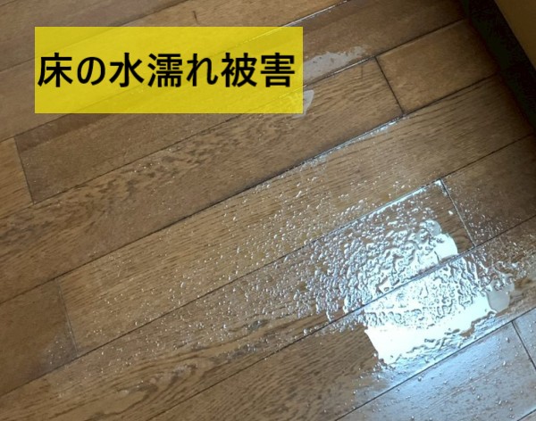 雨漏りで床が水濡れ被害