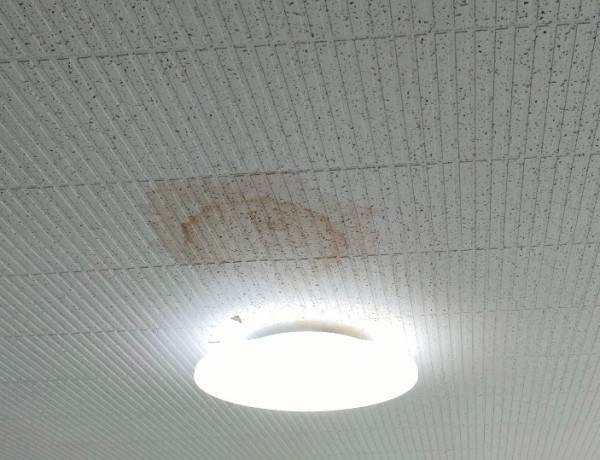 雨漏り調査で天井にシミがありました