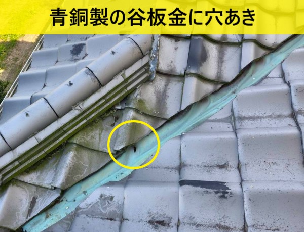 上益城郡嘉島町で雨漏り調査｜天井クロスが剥がれ 谷板金の穴あきが原因だった事例