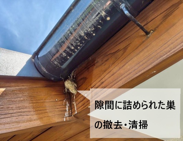鼻隠しの隙間に詰められた巣を撤去、清掃します